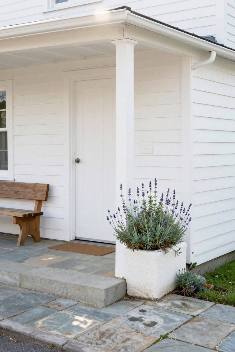 White clapboard house exterior with covered porch, white door, wooden bench on slate steps, and large white pot of lavender plants next to the entry.